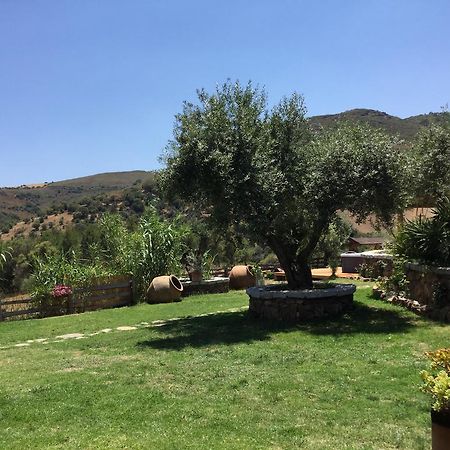 Bed and Breakfast Il Giardino Di Daniela San Teodoro  Exterior foto